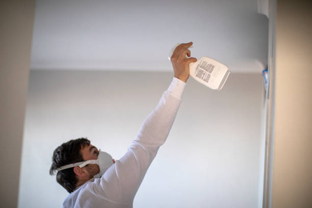 Best Toxic Mold Removal  in Inverness Highlands South, FL